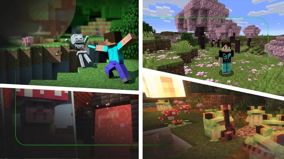 Feature Info Image