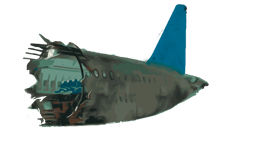 Survivor icon