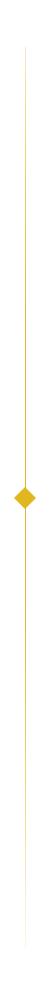 Yellow line illustration